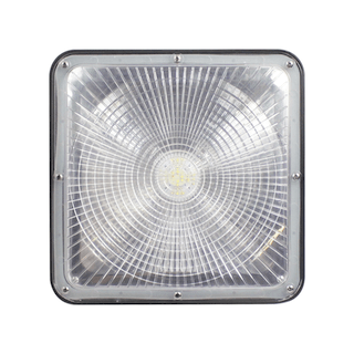 50W CANOPY LIGHT 5000K|Canopy light|NYLEDS